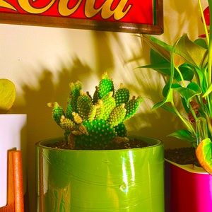 Get to know your posher!